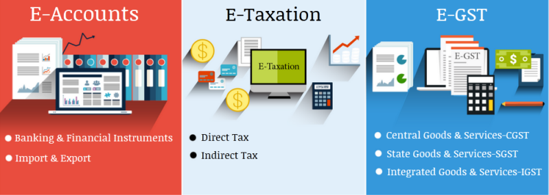 The Rise of Remote Accounting Jobs: Why an Accounting Course is Key in 2025, 100% Job, Accounting Course in Delhi,