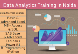 Is an e-Data Analyst Training Course Worth It in 2025? Job Market Insights, Excel, VBA, SQL, MS Power BI, Tableau.