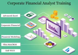 AI and Automation in Financial Why You Still Need an Finance Course in 2025, 100% Job, Financial Modelling Training in Delhi by SLA Consultants India