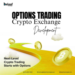 Advanced Crypto Options Trading Platform Development - Beleaf Technologies